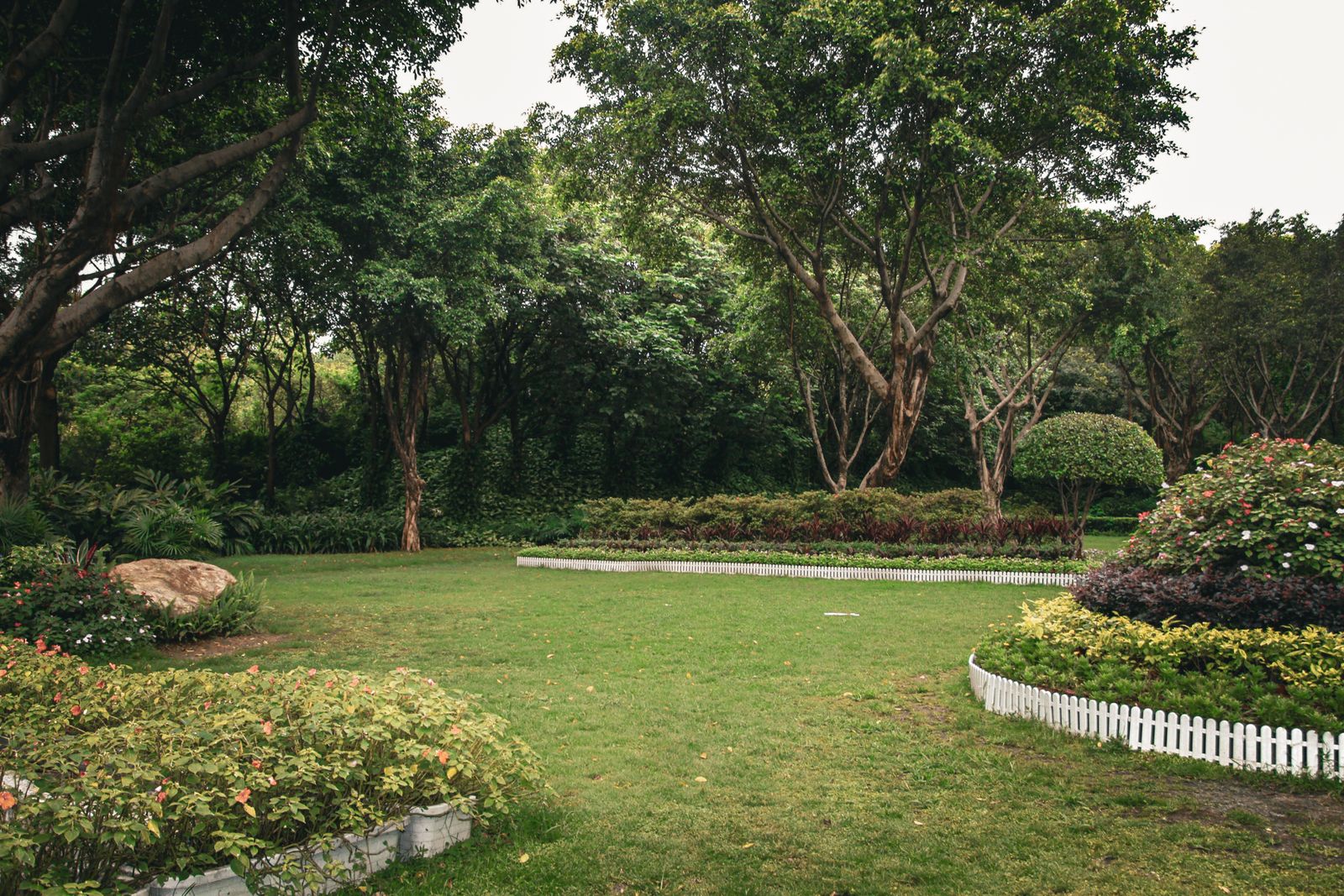 Evergreen landscape design project